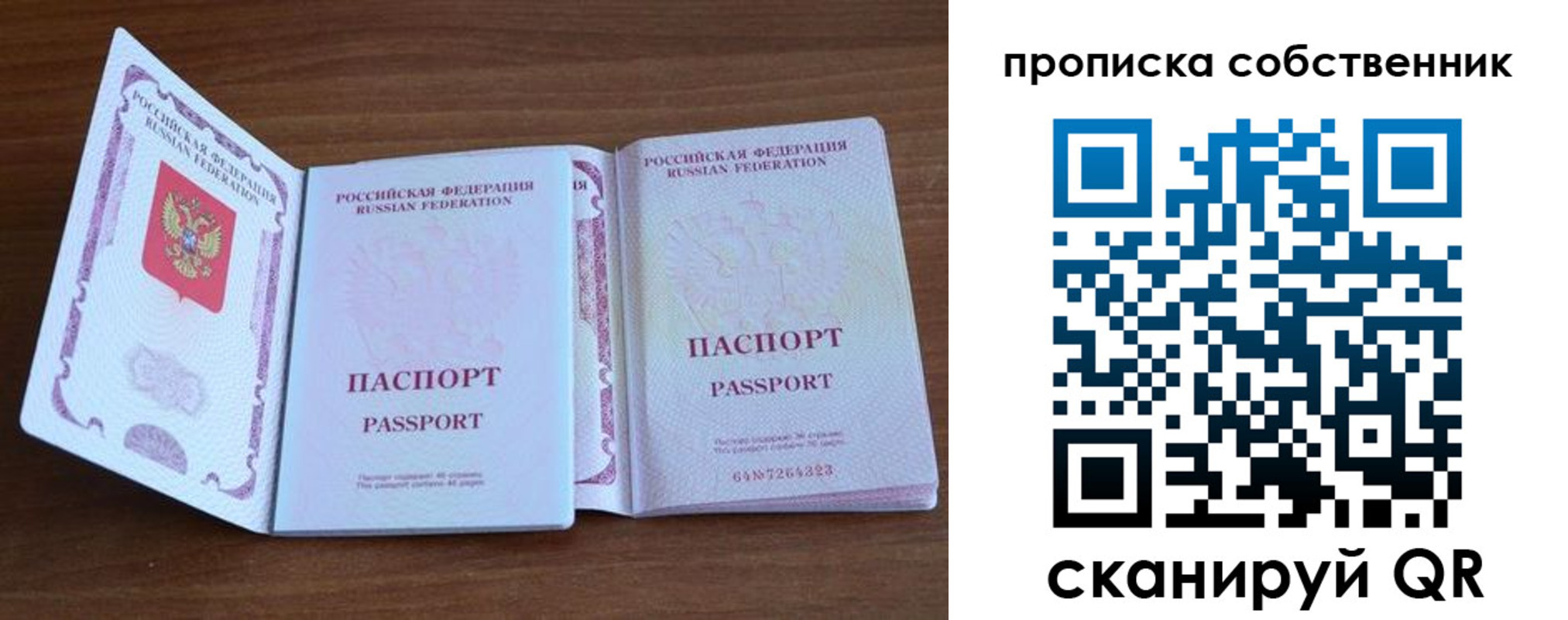 прописка законно в Мытищах